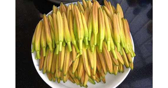 用黃花菜烘干機烘干后的黃花菜好吃嗎？