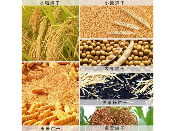 蔬菜烘干機設備功能效果符合不同物料的干燥需求